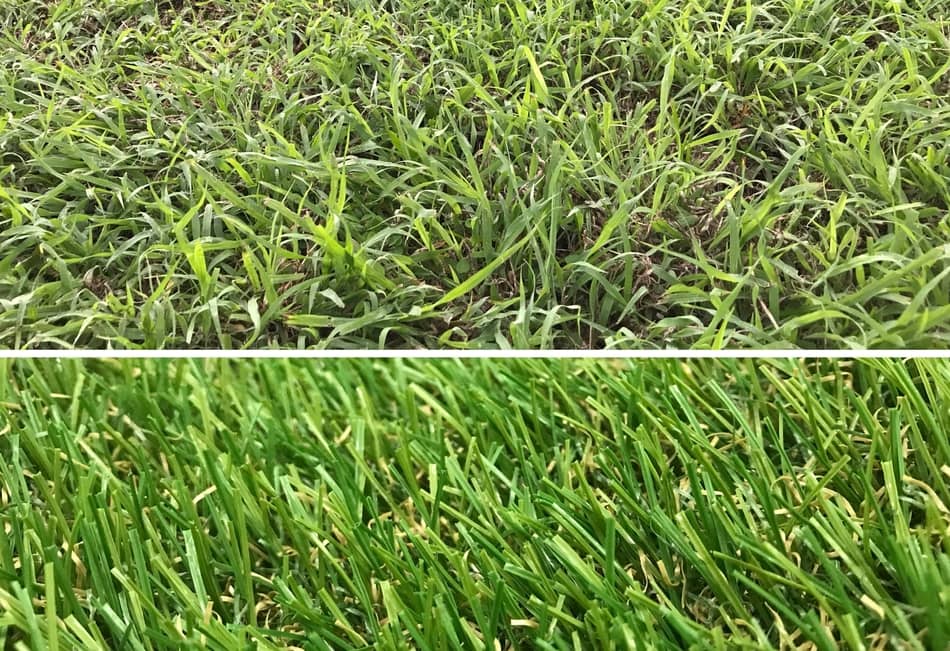 Soccer Ball Grass vs Turf Battle